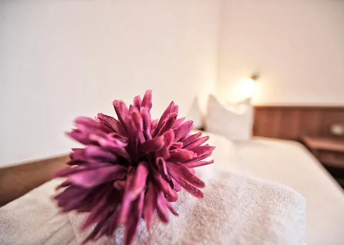 Haus Enzian דירה