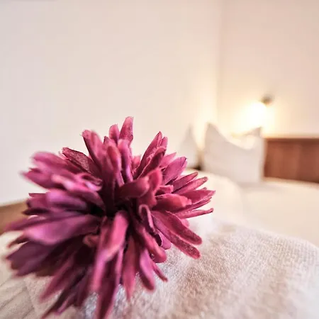 Haus Enzian Appartement